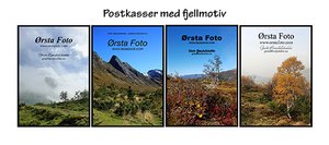 Collage_Fjell & Dalar_1